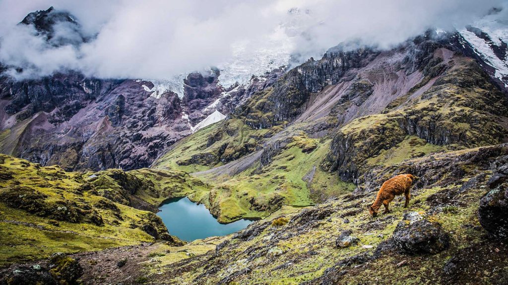 Trek Lares – Machu Picchu 4D/3N